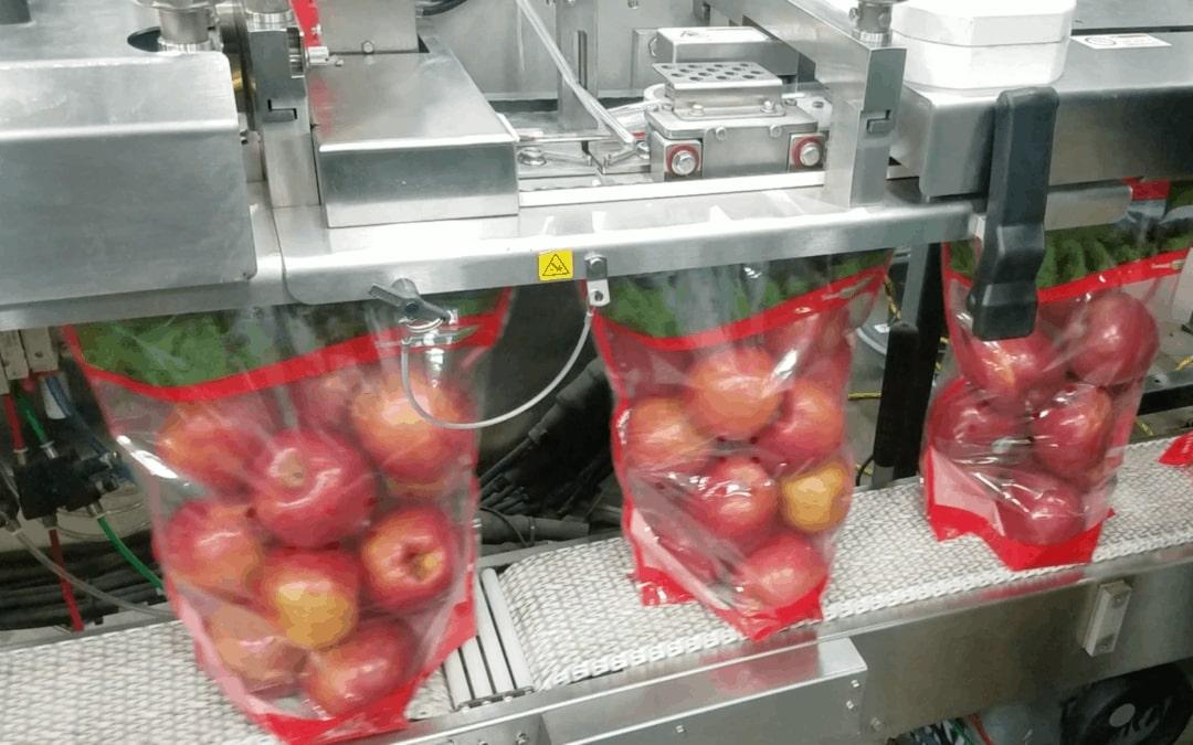 Apples being packaged into bags